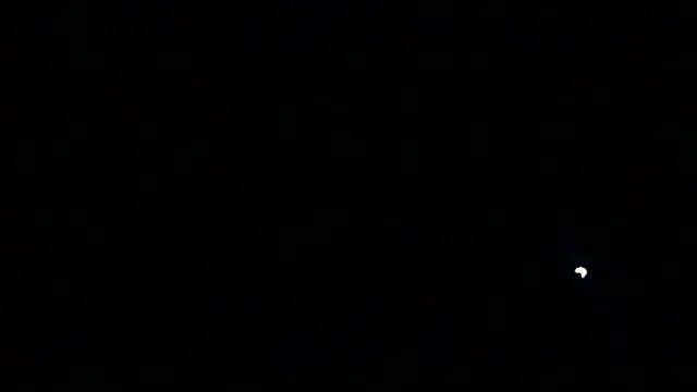 markluvskitty webcam