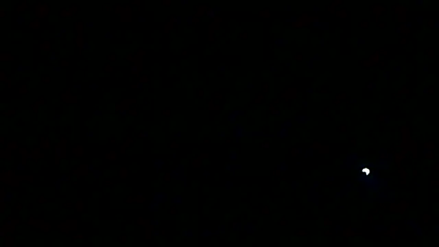 Preview of markluvskitty