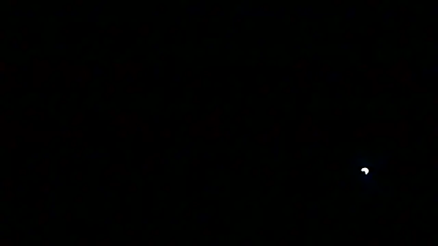 markluvskitty webcam