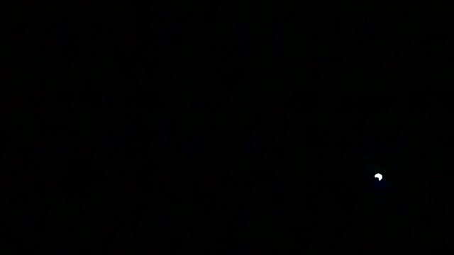 Preview of markluvskitty