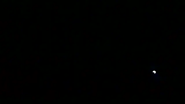 markluvskitty live sex cam