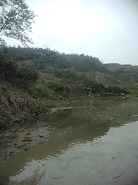 hoho-hihi - Hoho-hihi's free webcam - UK Sex Cams