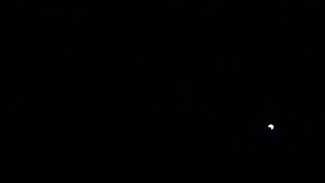 Preview of markluvskitty