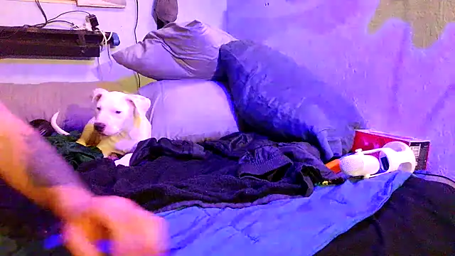 Preview of pornstro921