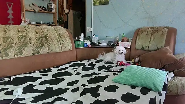 hazel_4_u (F young) - sucking a dildo