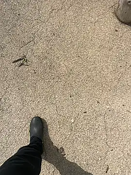 Preview of anonimo7735