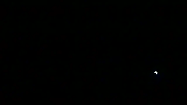 Preview of markluvskitty