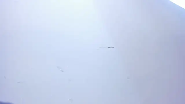 bella_novoa - Bella_novoa's free webcam - UK Sex Cams