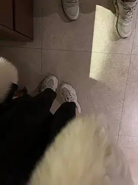 美女littleqiu在线直播