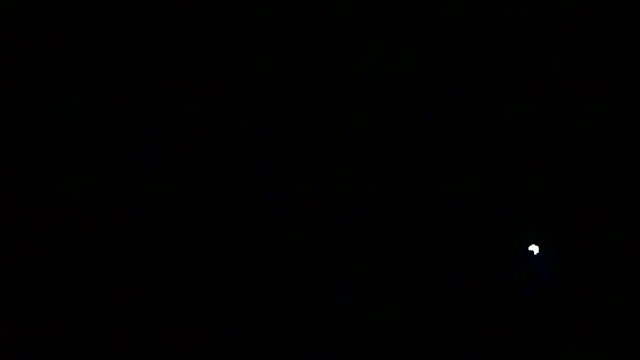 Preview of markluvskitty