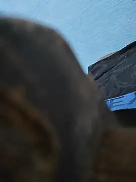 lovingsol - Lovingsol's free webcam - UK Sex Cams