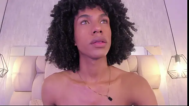 Preview of johan_gz_