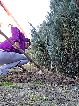 isabellecraft (F milf) - Lets play nacked în carr