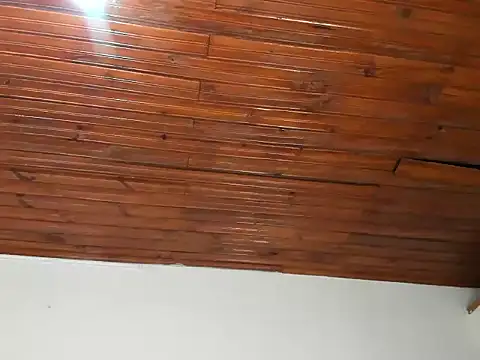 megandangelo (F teen) - open my ass and show my tits