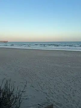 Preview of lolabunny9