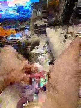 Preview of vosgien87