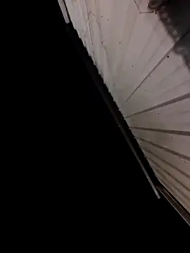 Preview of joes_cock