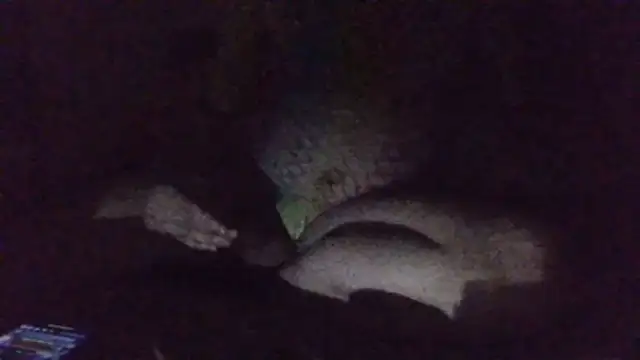 Preview of nymphoer1982