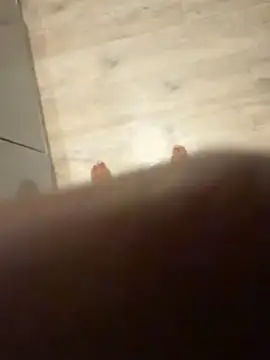 Trhge253 live sex cam