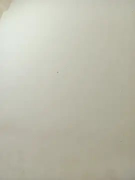 Webcam Model (sexy_shital)  is live.Free join now!