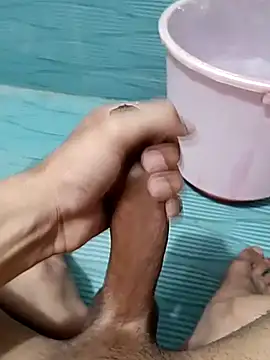 Preview of desi_lund10