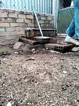 malisa-aa - Malisa-aa's free webcam - UK Sex Cams