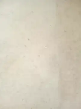 congchua977 - Congchua977's free webcam - UK Sex Cams