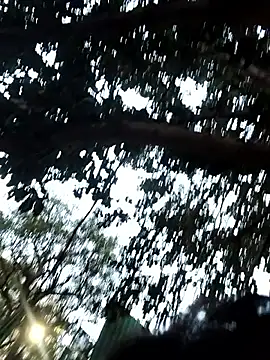 wtfyashu98 - Wtfyashu98's free webcam - UK Sex Cams