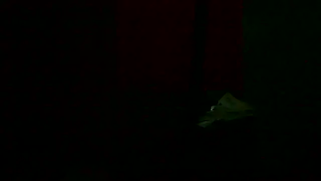 Preview of markluvskitty