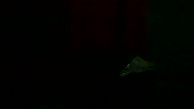 Preview of markluvskitty