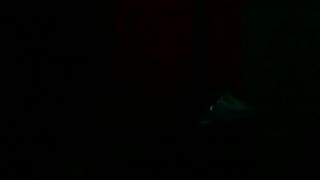 Preview of markluvskitty