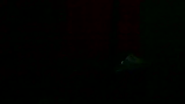 Preview of markluvskitty