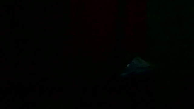 markluvskitty - Markluvskitty's free webcam - UK Sex Cams