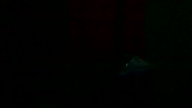 markluvskitty live sex cam