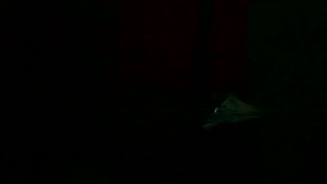 markluvskitty live sex cam