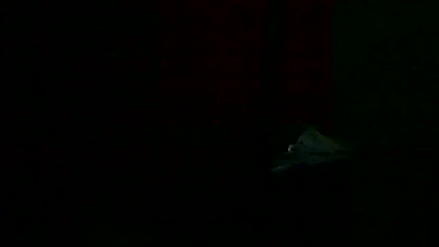 markluvskitty - Markluvskitty's free webcam - UK Sex Cams