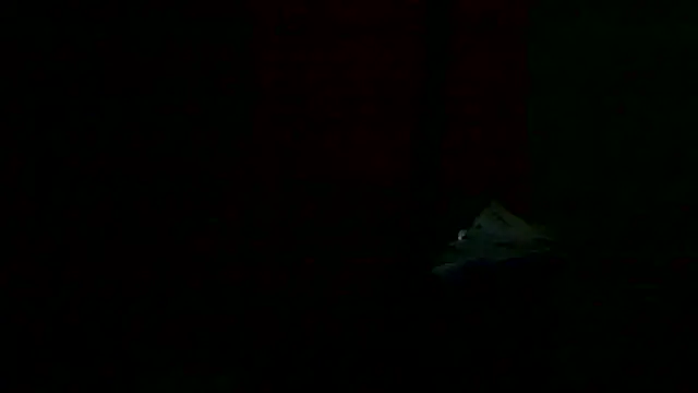 Preview of markluvskitty