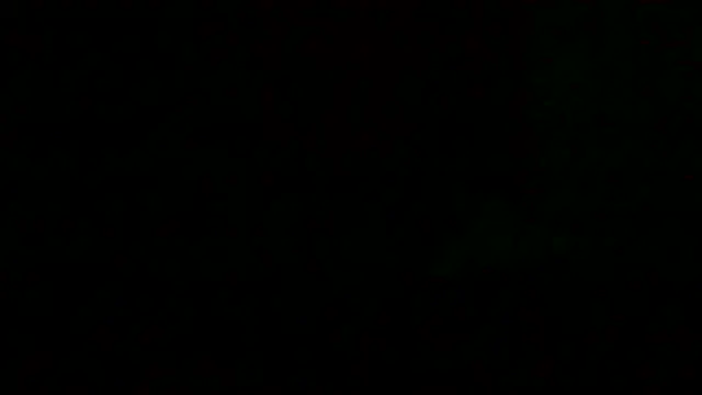 Preview of markluvskitty