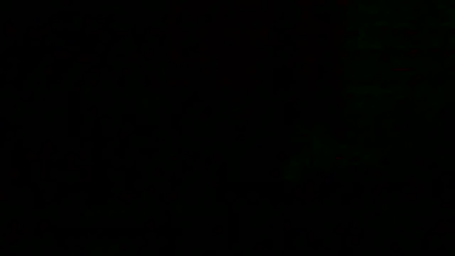 Preview of markluvskitty