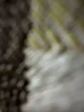 monster20cm (M twink) - Masturbate