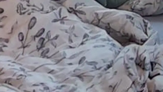 larsgessner30 - Larsgessner30's free webcam - UK Sex Cams