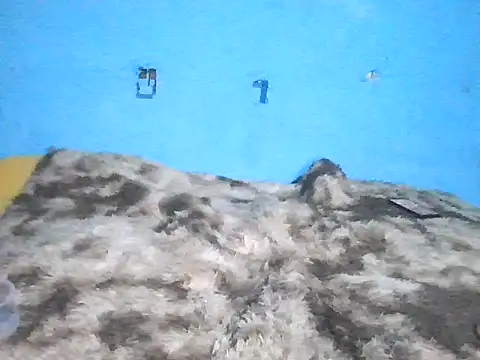 Xaviervtg live sex cam