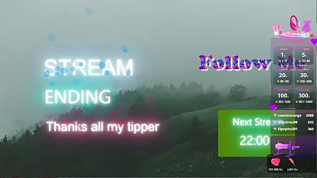 YourBurnWish live cam