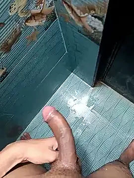 Desi_lund10 live sex cam