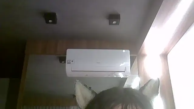 SkinnyKitten live cam
