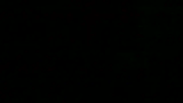 markluvskitty live cam