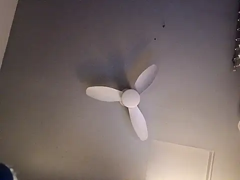 bimexpoexist live cam