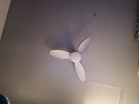 Preview of bimexpoexist