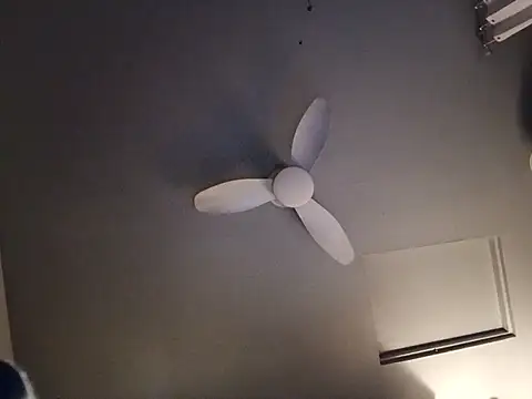 bimexpoexist live cam