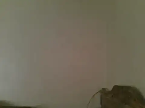 Preview of elpoop7305